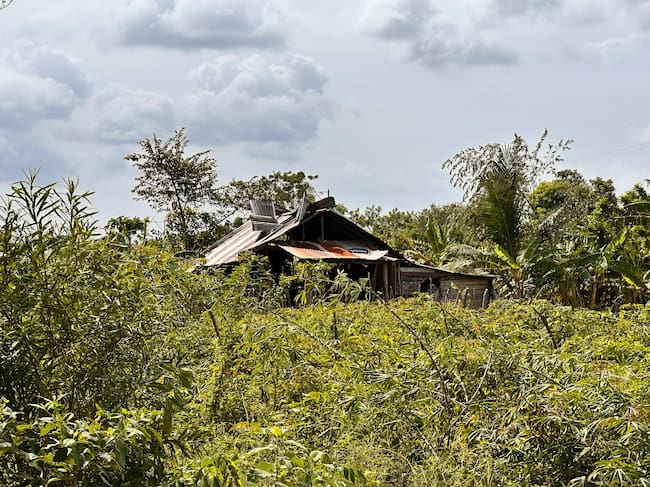 Vendaval en Cotorra, Córdoba. Foto: Alcaldía de Cotorra.