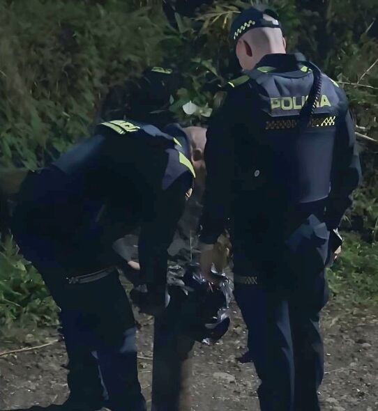 Fotografía cortesía