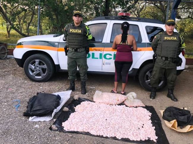 Capturan tres presuntos traficantes de animales silvestres en Bolívar