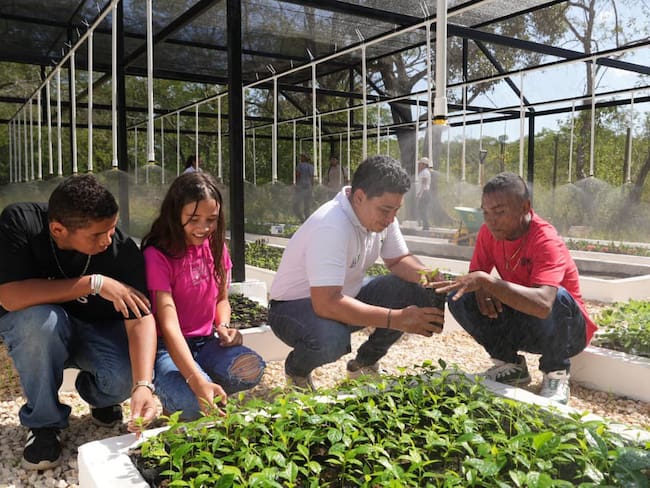 Cardique entrega megaviveros y proyecta la siembra de 200 mil árboles en los Montes de María
