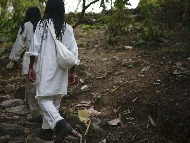 Conexión Jaguar: el mejor programa de compensación de emisiones