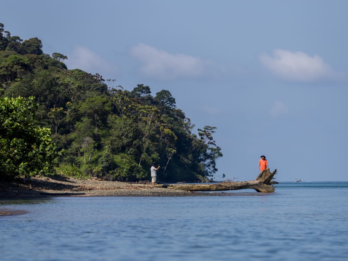 El plan del gobierno para la reactivación turística de Isla Gorgona