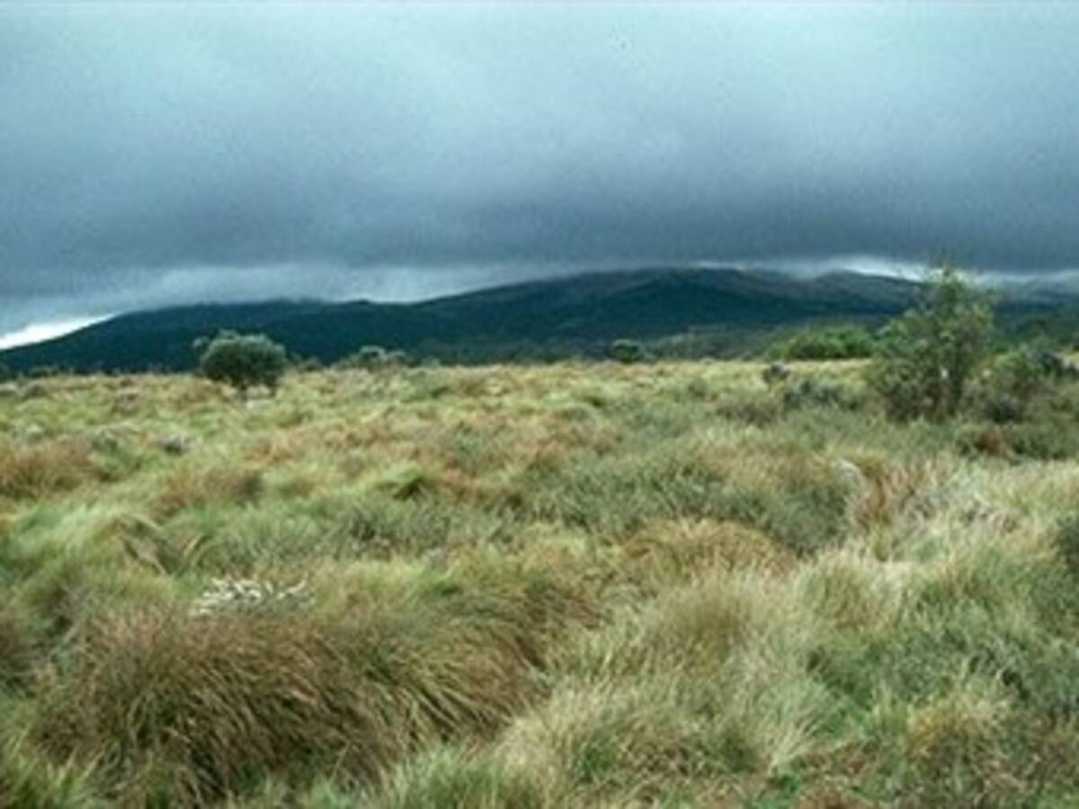 En Antioquia compran terrenos para proteger sus fuentes de agua