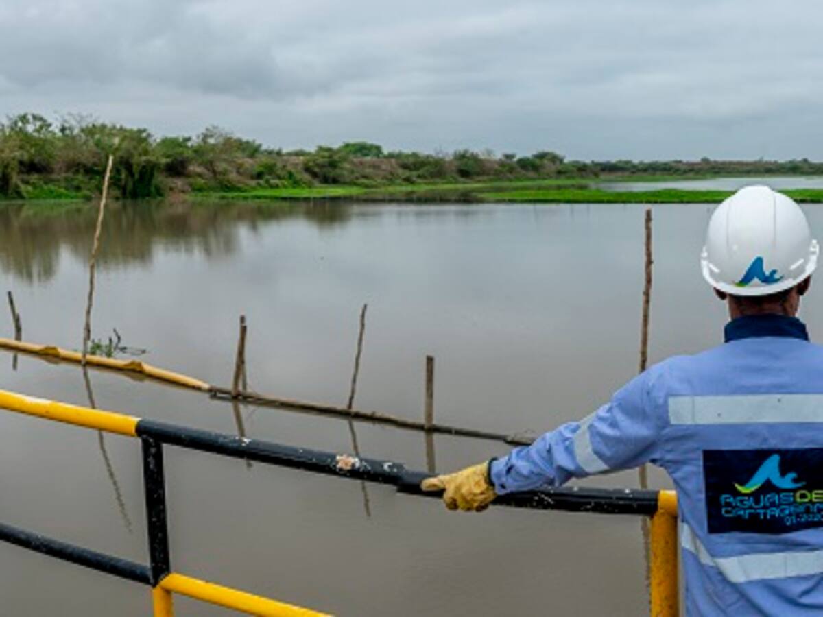 Implementan plan para mitigar efectos de microalgas en acueducto de Cartagena