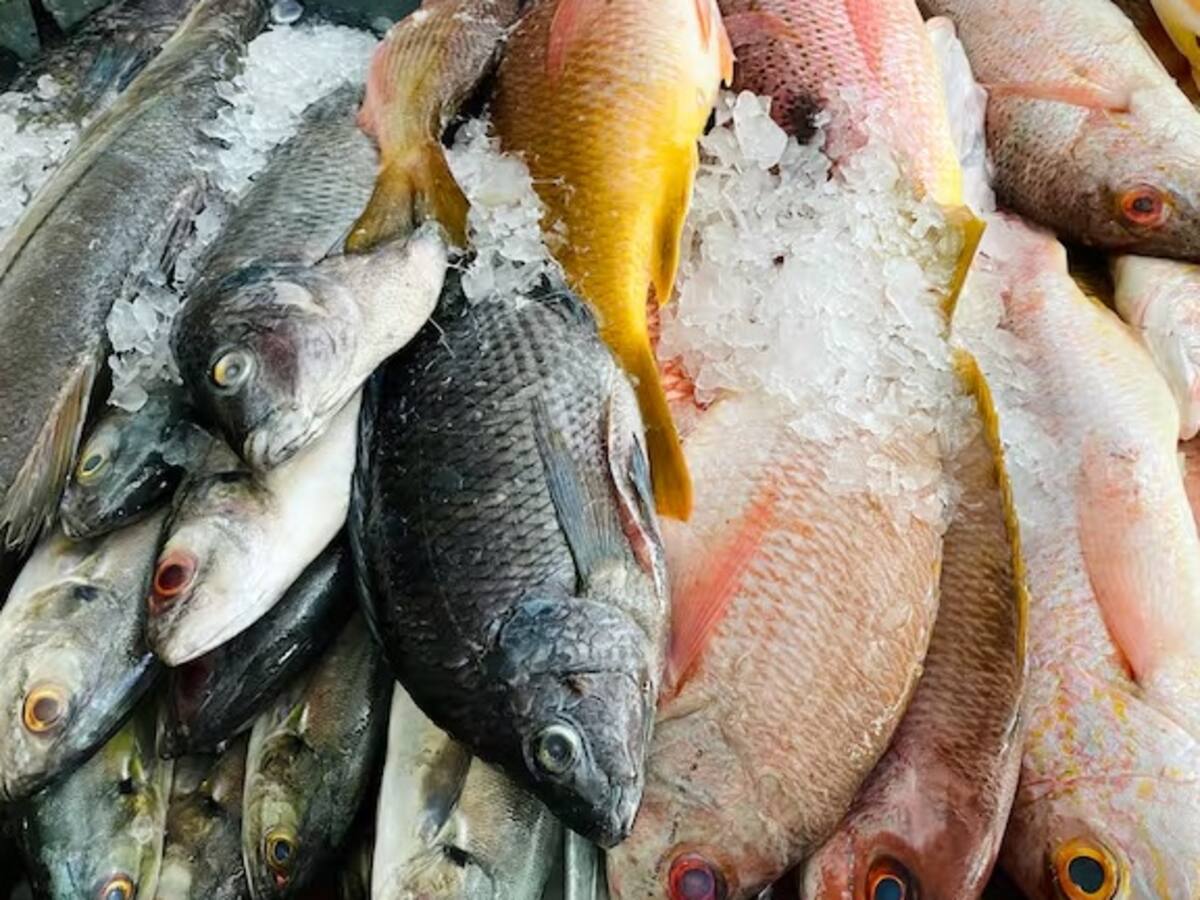 En Armenia refuerzan los controles para garantizar el consumo seguro de pescado en la Semana Santa