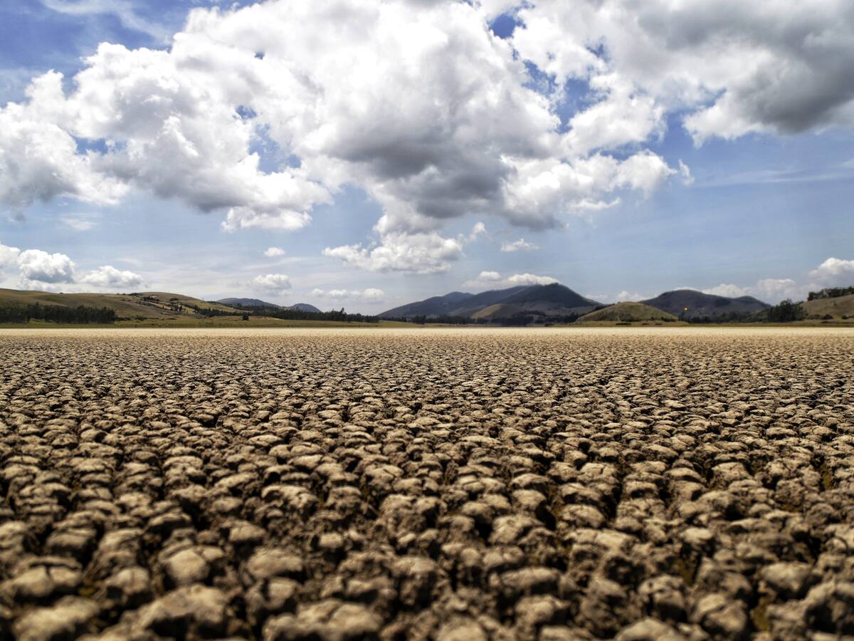 Cerca de 30 municipios en Bolívar se han visto afectados con la sequía