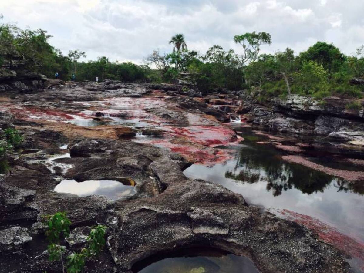 Gobernadora del Meta pide revocar licencia para pozos petroleros en La Macarena