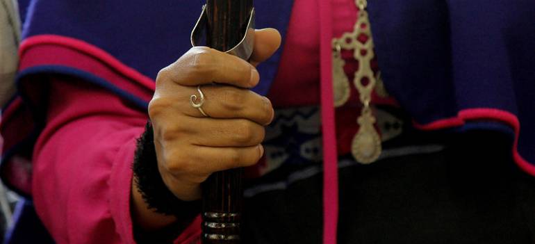 Imagen de referencia