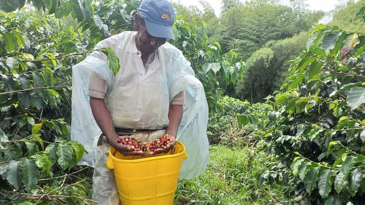 Mayor Jhony Gutiérrez jefe de la policía de carabineros
