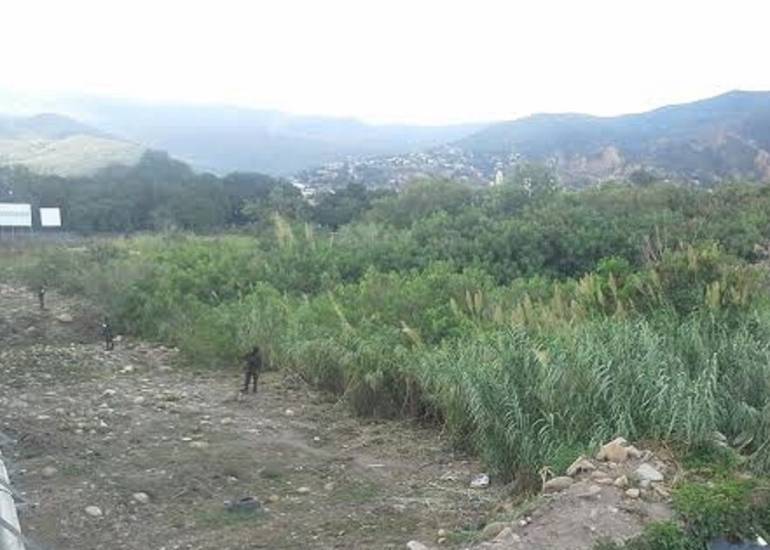 Frontera colombo-venezolana