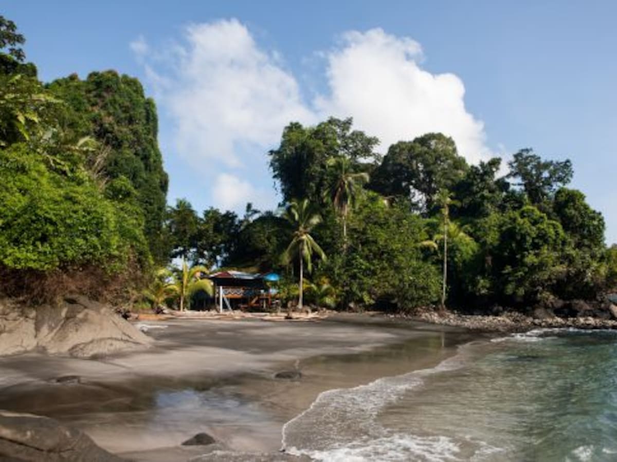 Parque Nacional Utría estaría en riesgo por toma de comunidad del Valle, Chocó