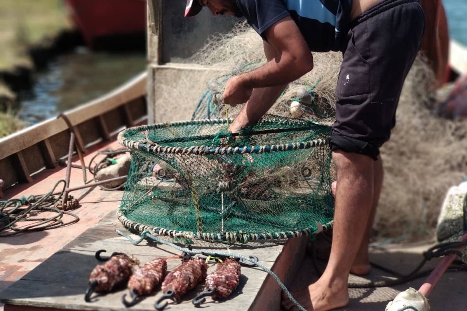solucionar las necesidades de los pescadores artesanales. Foto Cortesía.