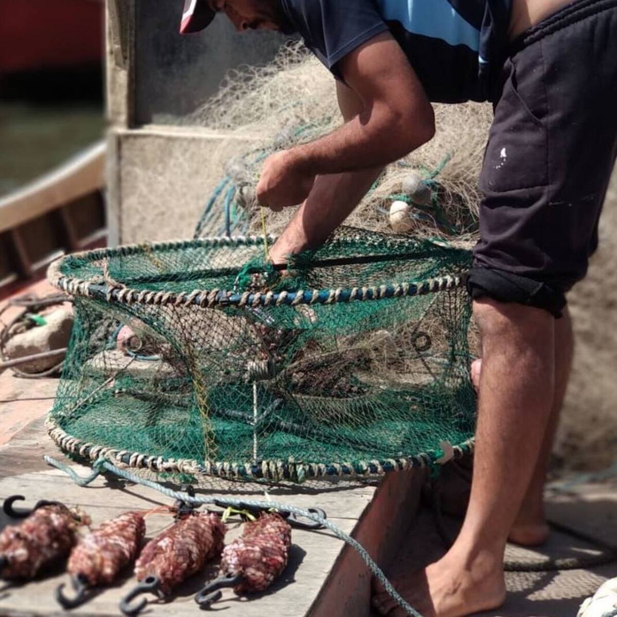 Los pescadores artesanales de El Quimbo requieren ser reparados por las afectaciones