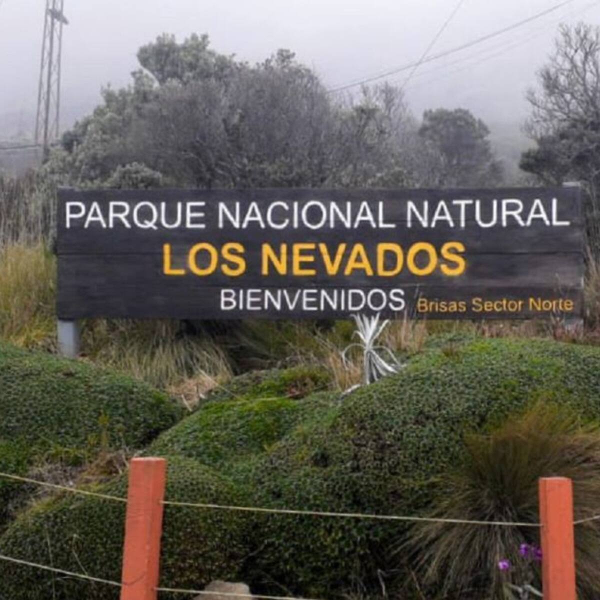 Parque Los Nevados, clave para surtir de agua al Eje Cafetero