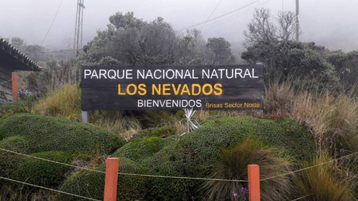 Parque Los Nevados, clave para surtir de agua al Eje Cafetero