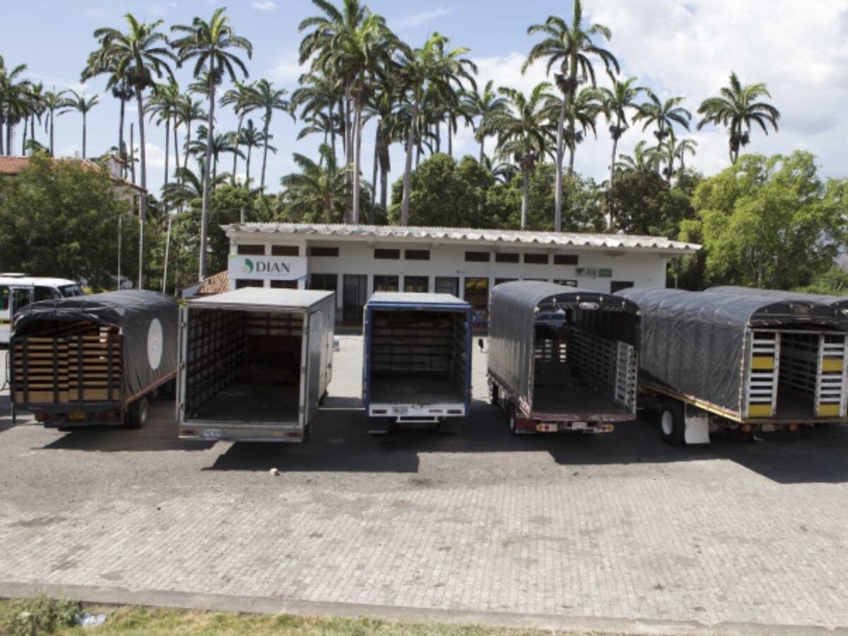 Mintransporte alista “amnistía” para sanear más de 50.000 camiones mal matriculados