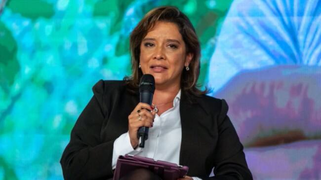 Viceministra de Protección Social, María Andrea Godoy Casadiego