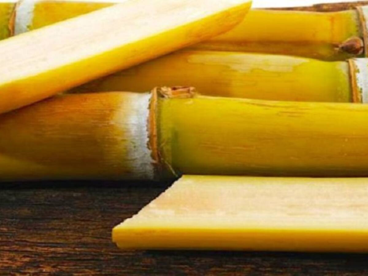 Indígenas exigen culminación de proyecto de preservación de caña de flecha