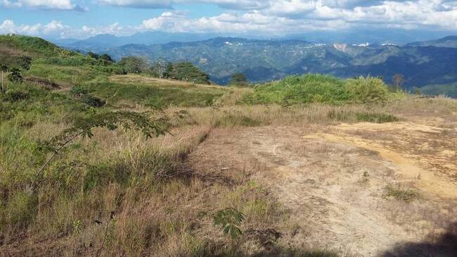 Terrenos donde se construye Aerocafé en Palestina, Caldas
