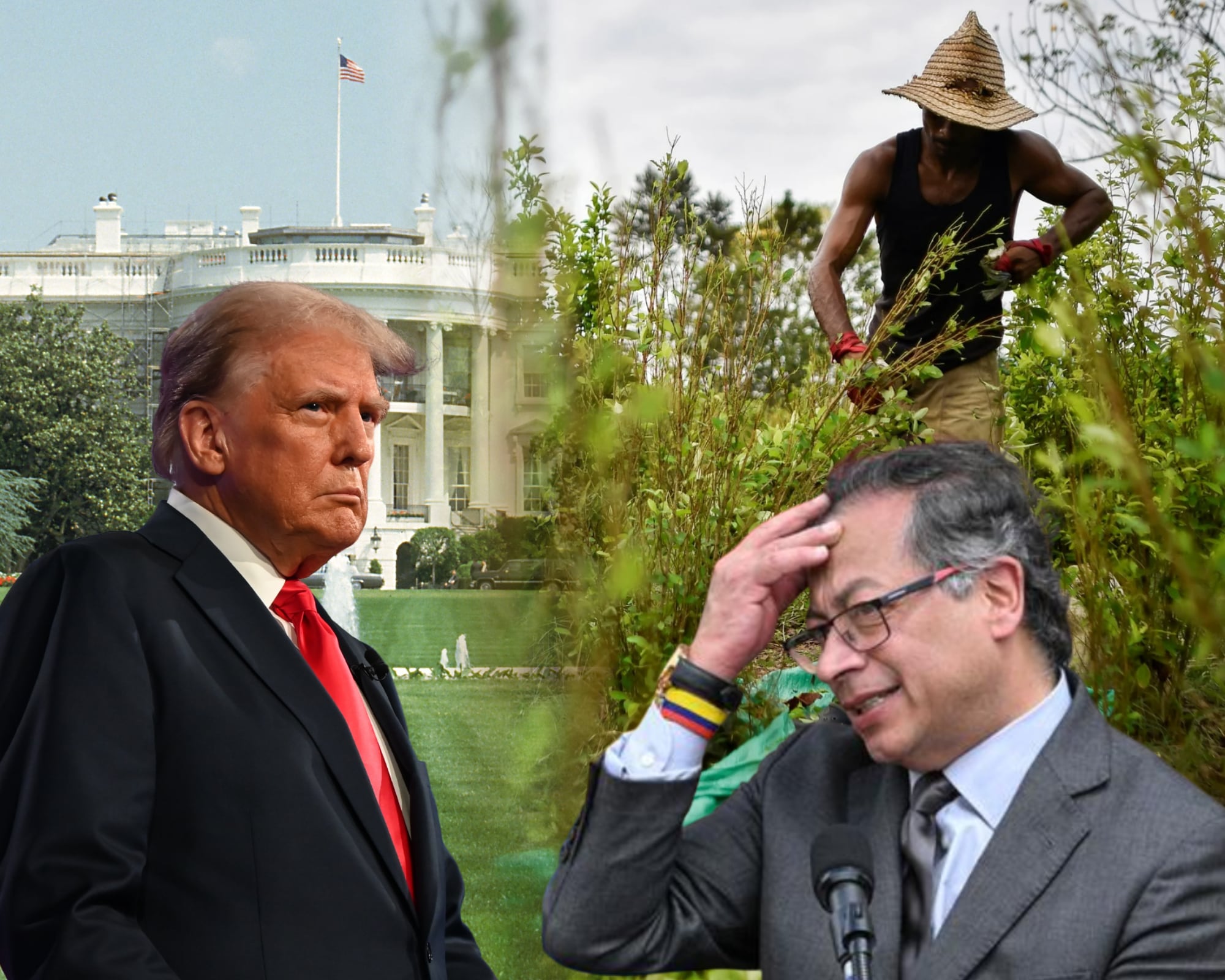 A pesar de los llamados por parte del gobierno, alcaldes, fuerzas militares, congresistas y organizaciones independientes, la Administración Trump descertificó a Colombia en la lucha contra las drogas.
(Foto: Caracol Radio / Getty )