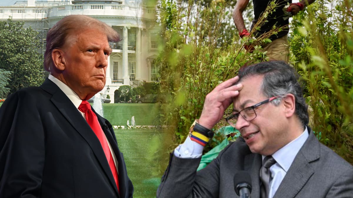 EE.UU. incluye a Colombia en lista de países que no cooperan en la lucha antidrogas tras 30 años