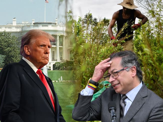 A pesar de los llamados por parte del gobierno, alcaldes, fuerzas militares, congresistas y organizaciones independientes, la Administración Trump descertificó a Colombia en la lucha contra las drogas.
(Foto: Caracol Radio / Getty )