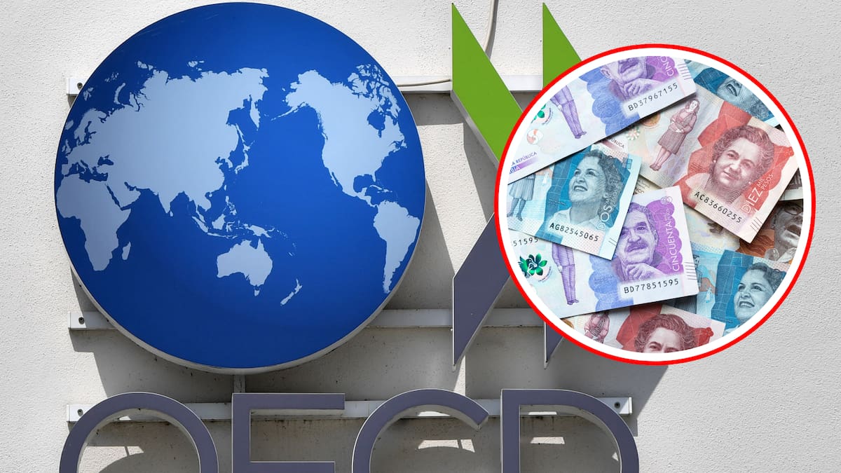 OCDE: Canadá, Colombia y Corea del Sur lideraron desempleo en el organismo diciembre