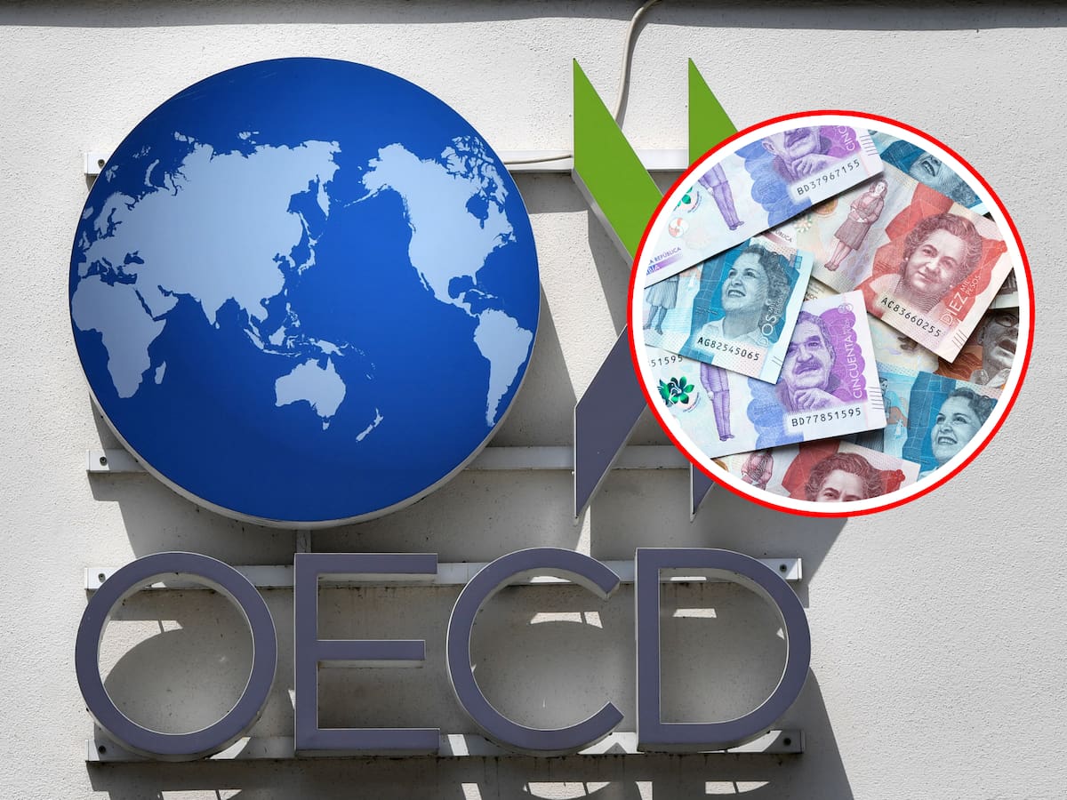 OCDE: Canadá, Colombia y Corea del Sur lideraron desempleo en el organismo diciembre