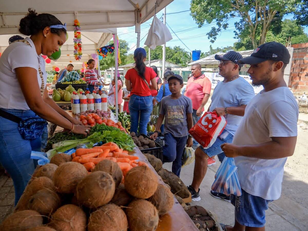 351 familias ahorraron comprando en los mercados campesinos en Cartagena