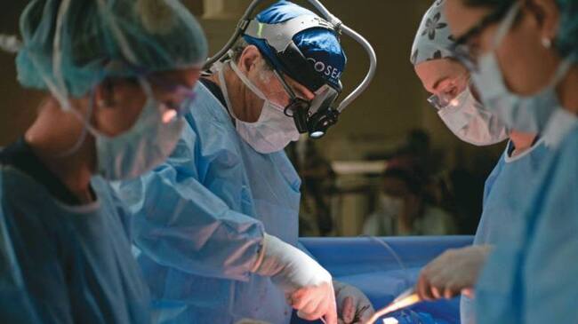 Donación de órganos