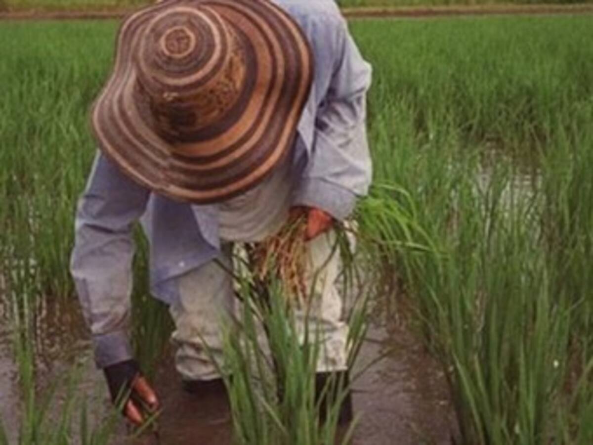 Descubren estrategia de paras, guerrilla y narcos para recuperar tierras expropiadas