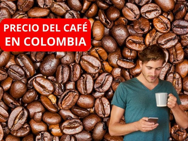 Precio del café en Colombia para este viernes 26 de diciembre de 2025 Foto: Getty Images