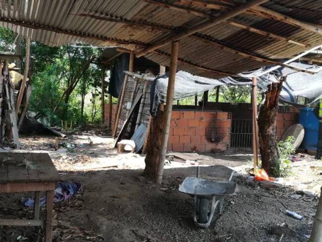 ‘Casa de Pique’ en Flandes: Horror y violencia