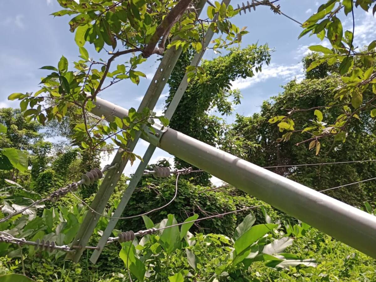 Infraestructura eléctrica en el sur de Bolívar afectada por condiciones climáticas