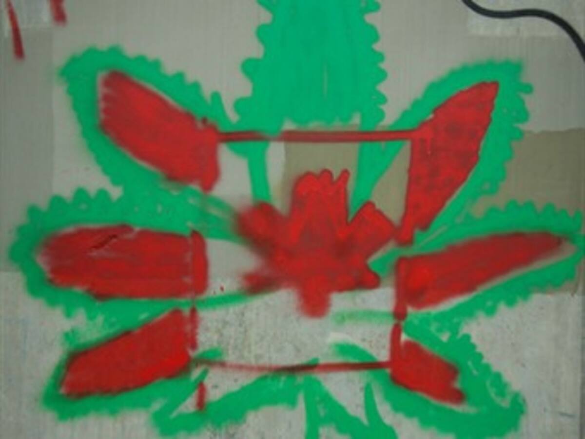 'Grafiti de Justin Bieber es ilegal': secretario de Gobierno