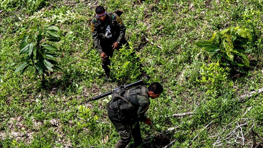 Campesinos impidieron labores de erradicación forzada en el Catatumbo. Foto: Colprensa - Diego Pineda