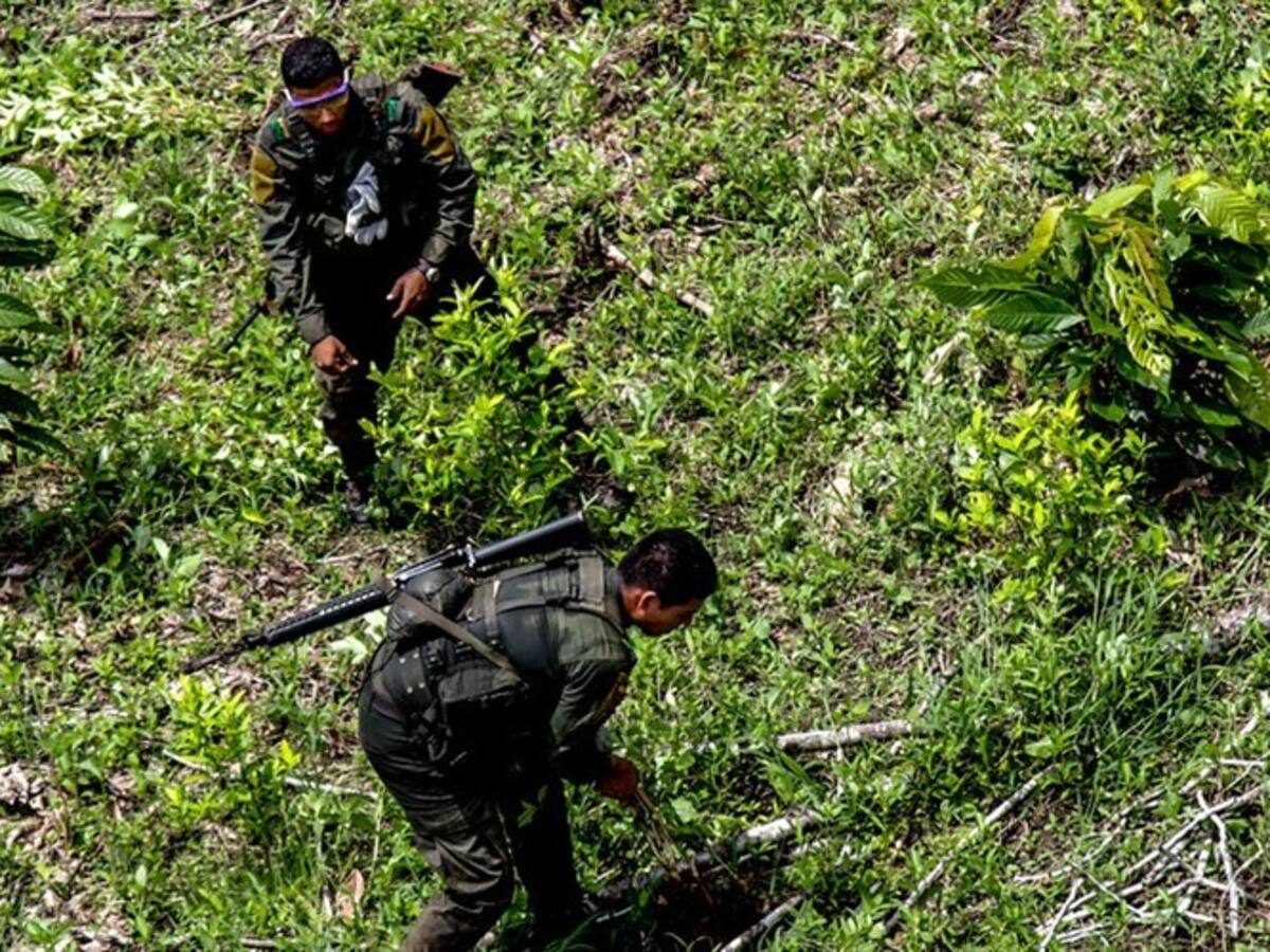 Campesinos impidieron labores de erradicación forzada en el Catatumbo