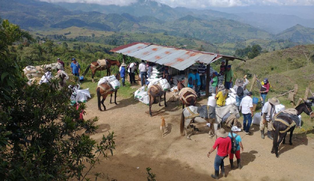 Ayuda para agricultores