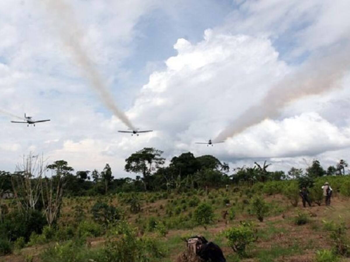 Liberalismo se opone a la fumigación con glifosato