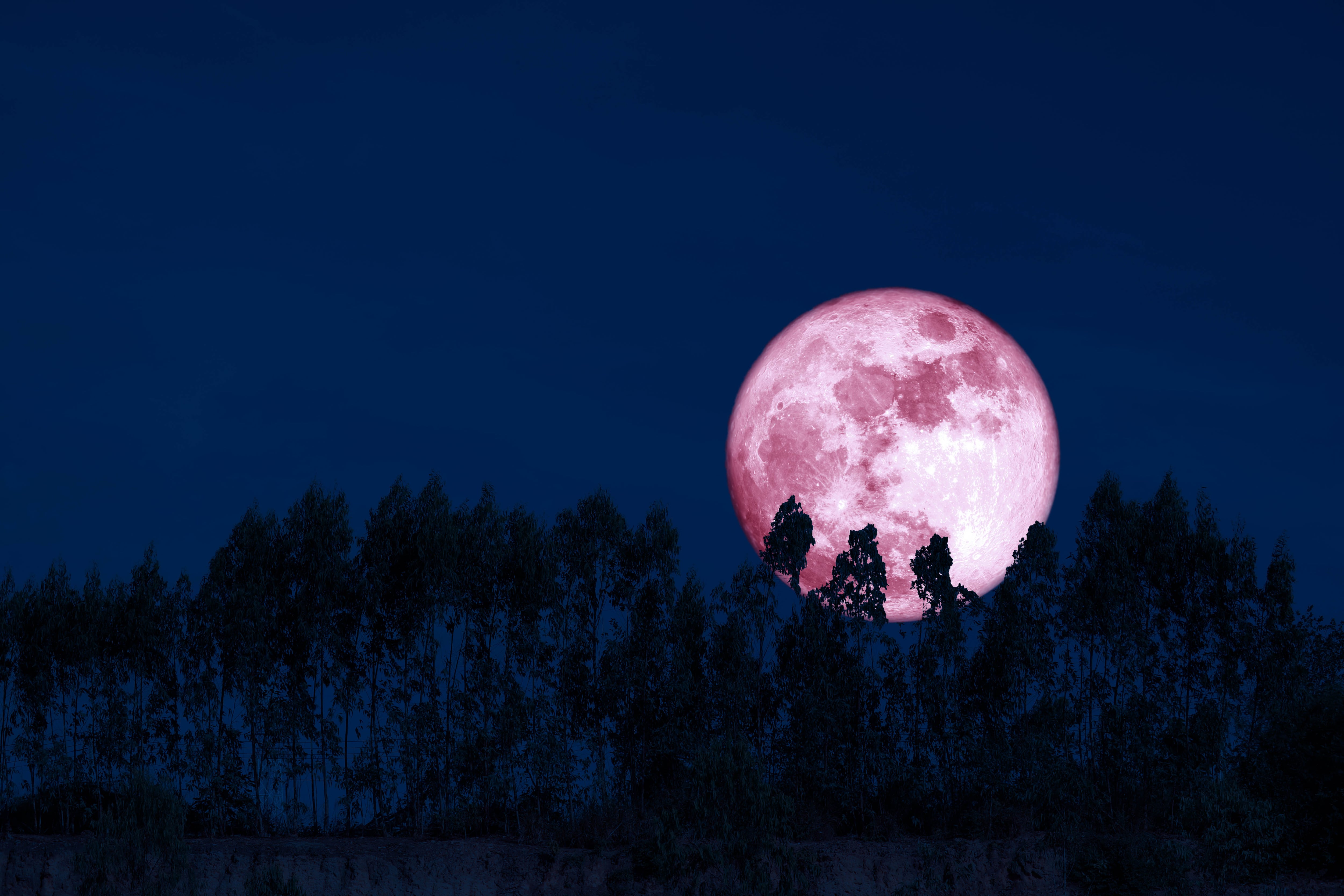 Imagen de referencia sobre la luna de fresa. / Getty Images
