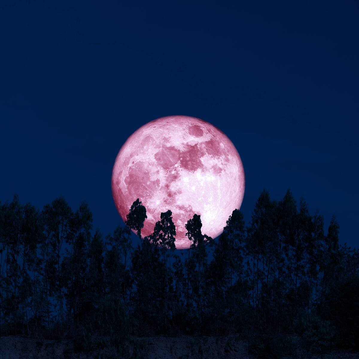 Luna de Fresa en Colombia 2024: Qué es y hora exacta de su aparición en Colombia