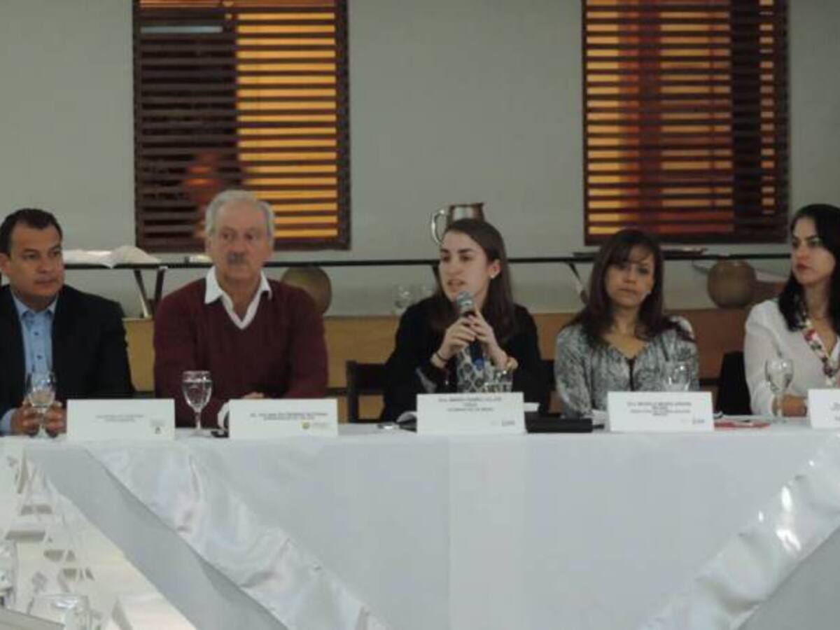 Personería de Marmato rechaza la apertura de la mina La Villonza