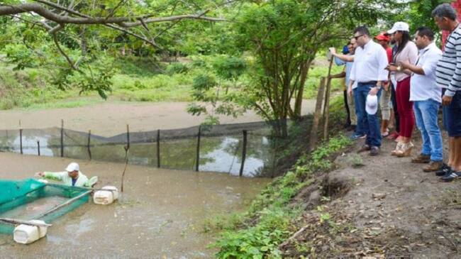 Acuicultura en departamento de Atlántico