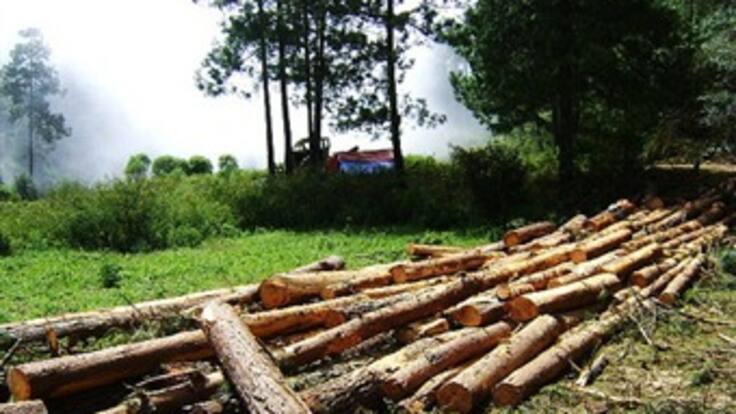 Conozca a la nueva Unidad de la Fiscalía contra delitos ambientales