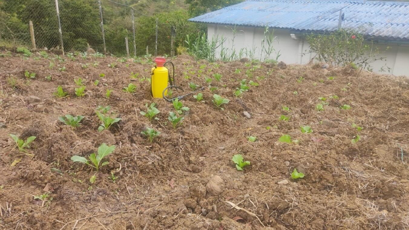 Huerta escolar en Sutatenza, Boyacá. Foto de Caracol Radio