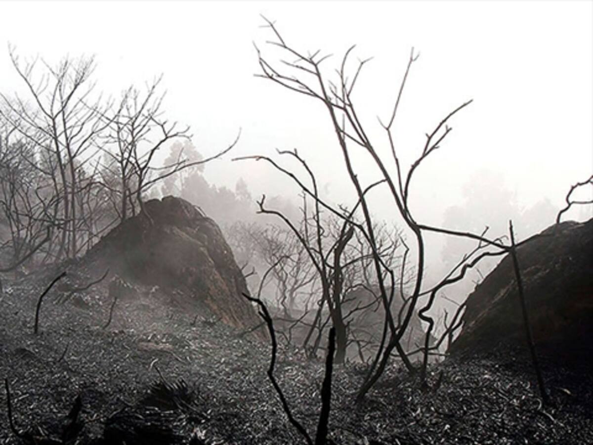 El 40 por ciento del territorio colombiano tiene algún grado de erosión