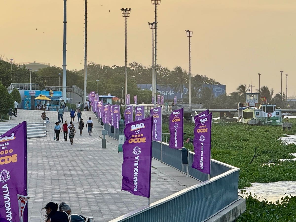 La OCDE se toma lugares culturales y transformados de Barranquilla: conozca la agenda de visitas