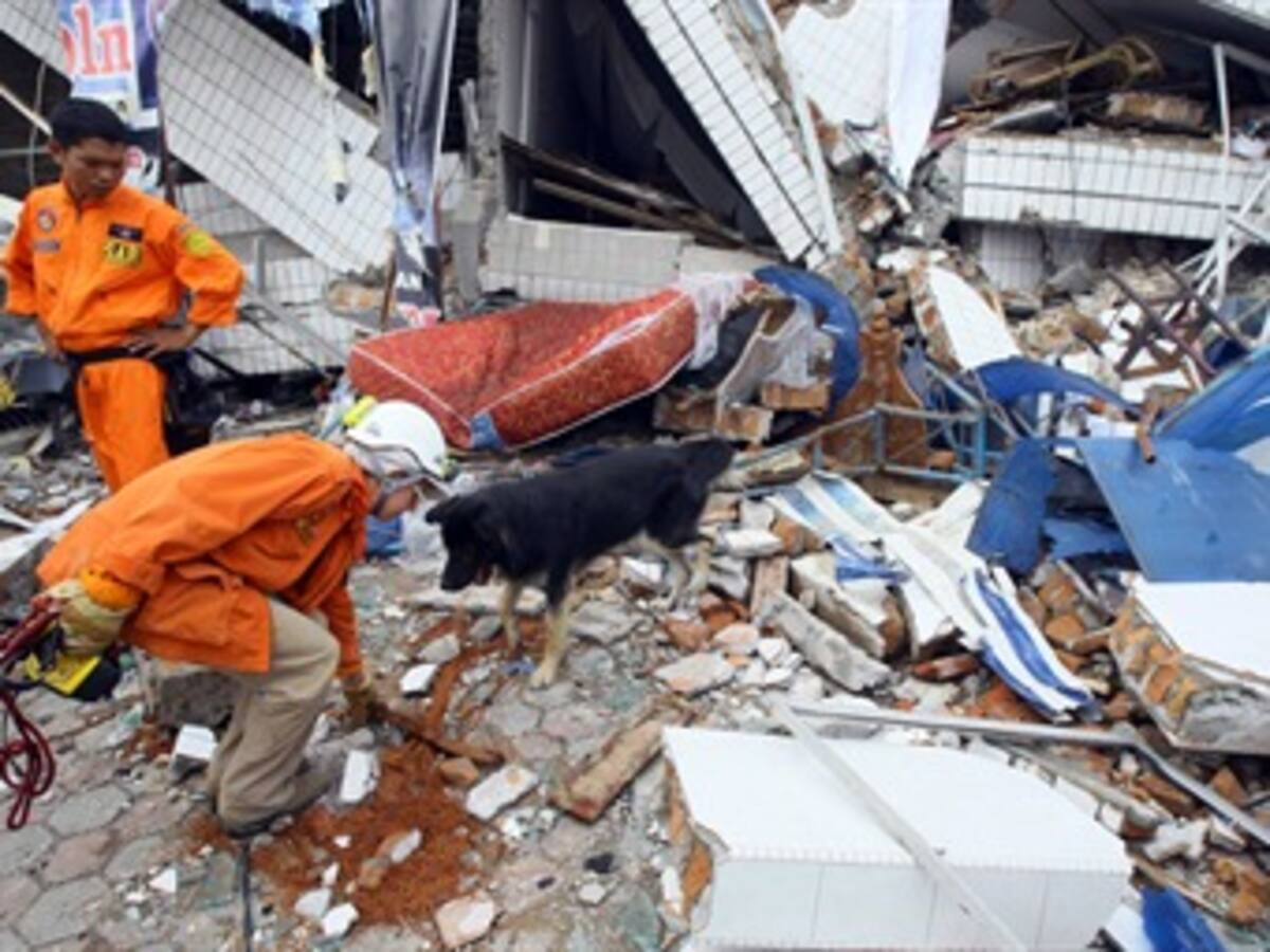 La Comisión Europea concede 3 millones en ayuda urgente para víctimas del seísmo en Indonesia