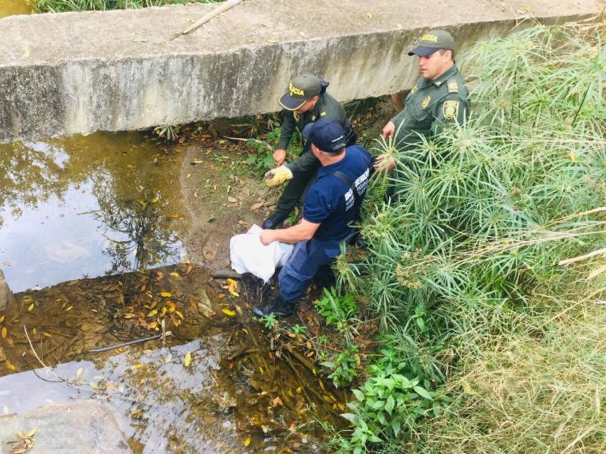En Barichara, Santander, han reducido los incendios forestales