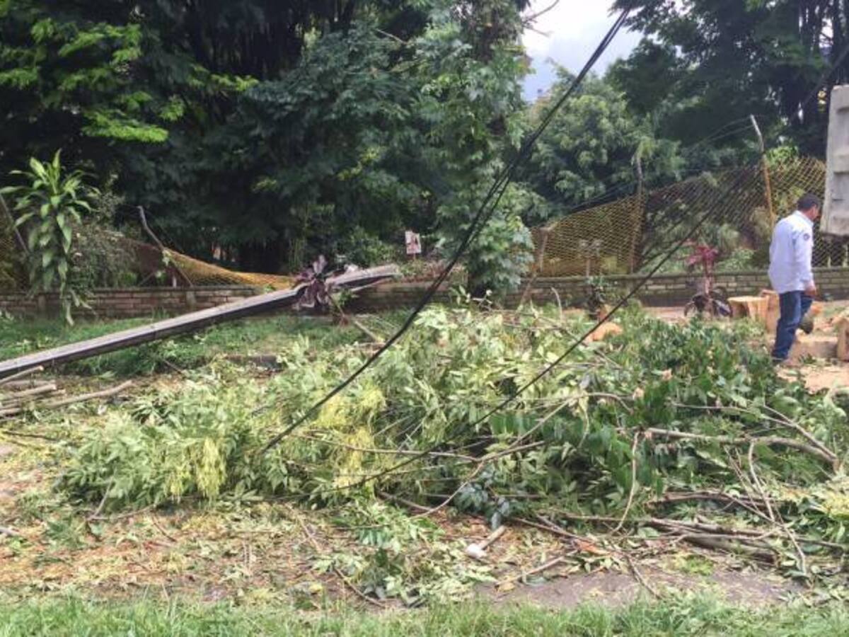 Más de 60 viviendas afectadas por tormenta eléctrica